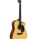 Westwood DC-8NA Acoustic Guitar 41 Inch Dreadnought Spruce Top Natural