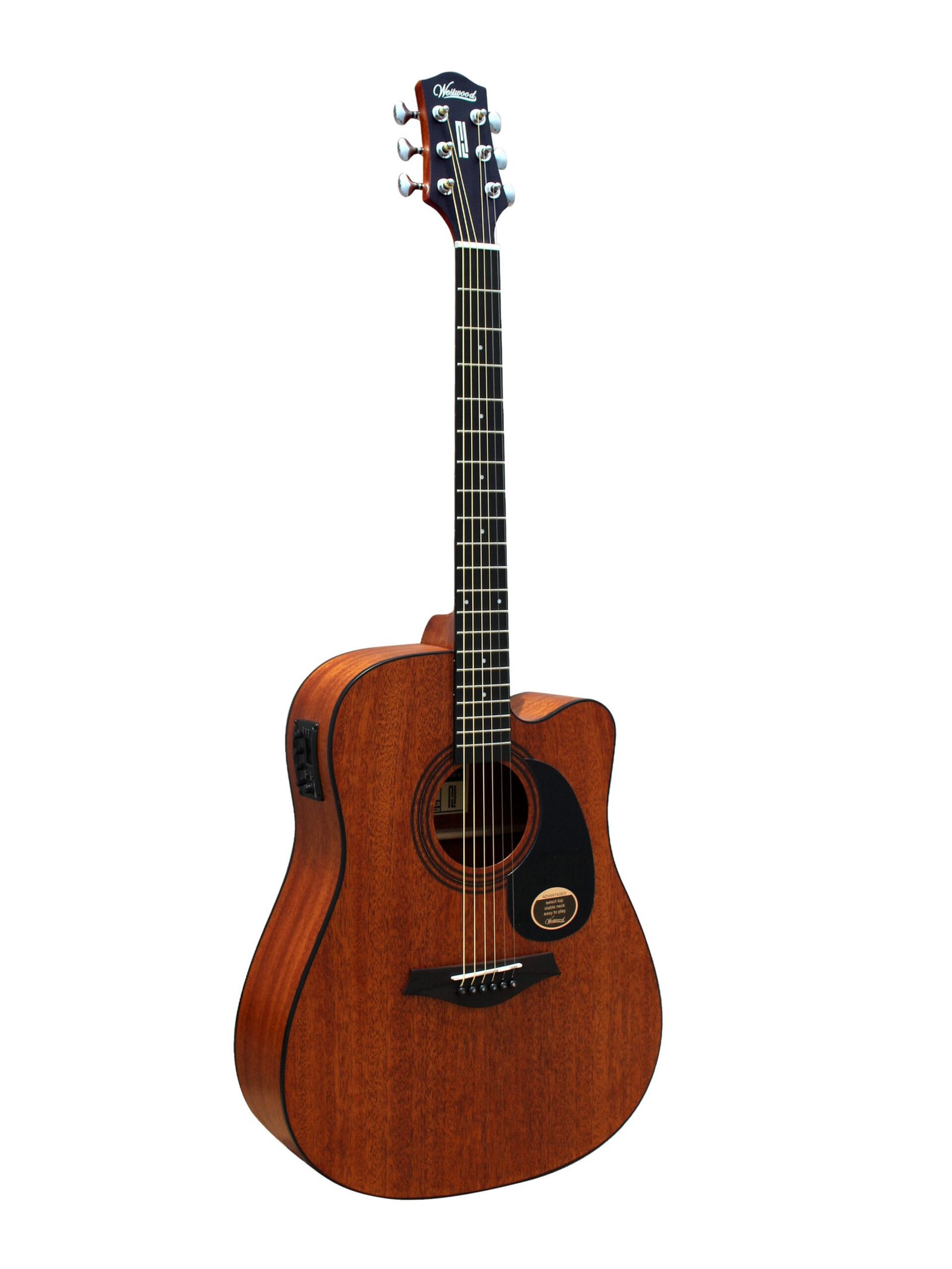 DC-8E M _1 Westwood DC-8E M Semi Acoustic Guitar 41 Inch Dreadnought Mahogany