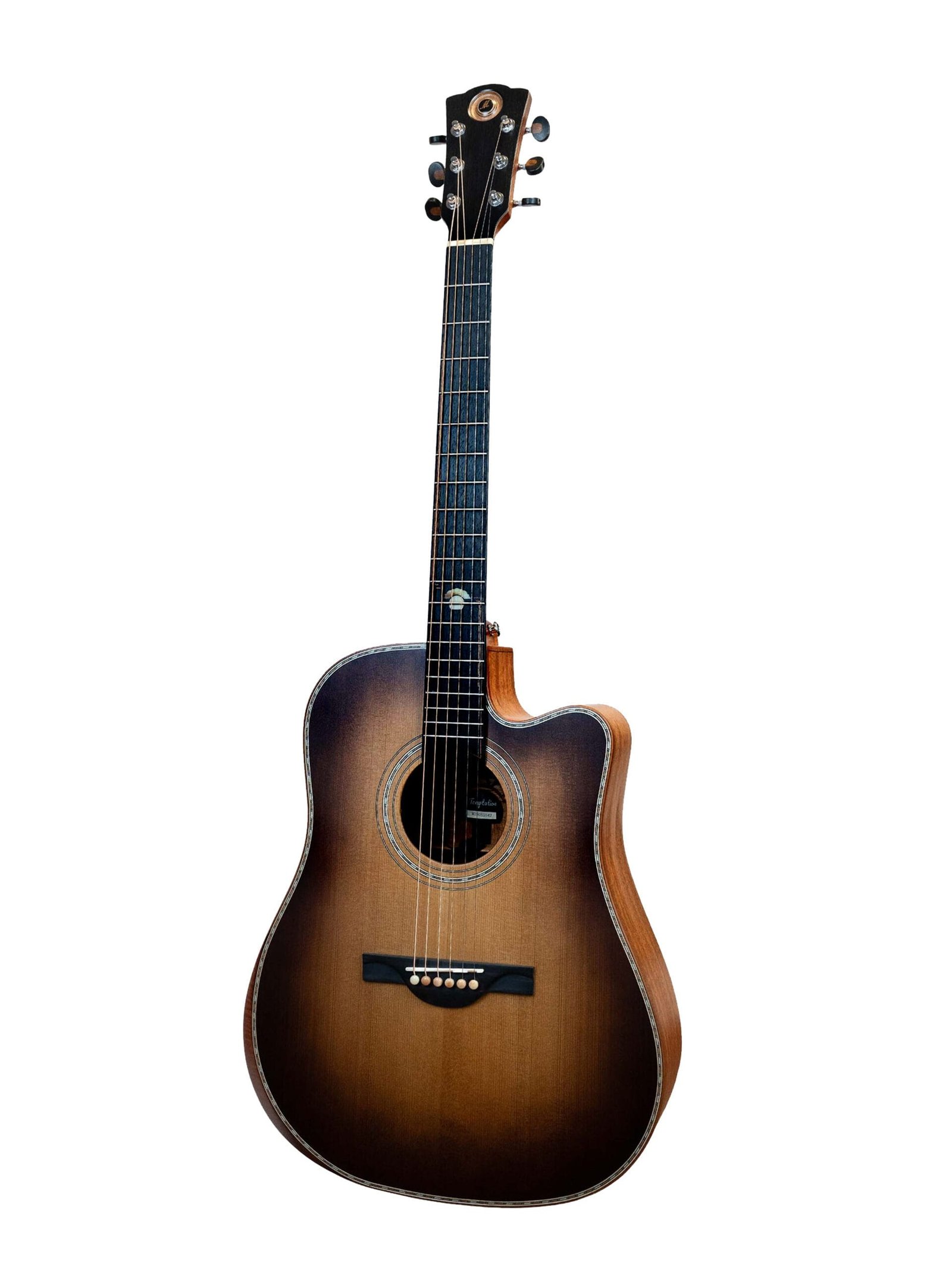 Temptation _1 Merida Temptation Semi Acoustic Guitar Dreadnought Torrified Spruce Mahogany Highlight Matt