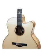 Meridaextrema Wembley Prominence Series Semi Acoustic Guitar - Image 5
