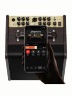 NUX AC-80 80W Battery-Powered Acoustic Guitar Amplifier - Image 5